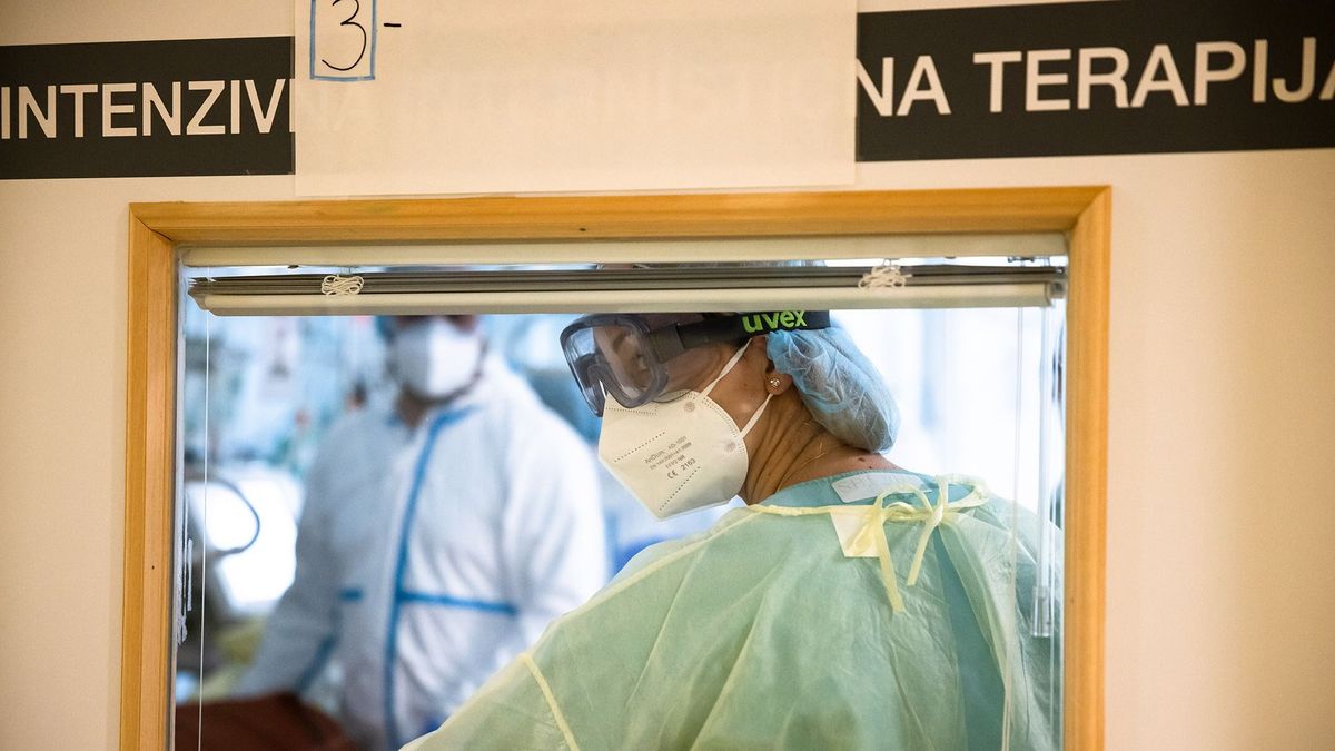 Általános sztrájkot hirdetett a Fides Szlovéniában