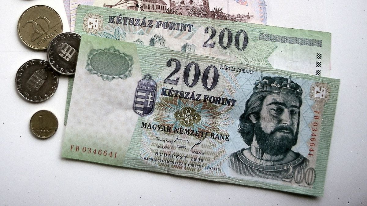 Geld Währung Ungarn
