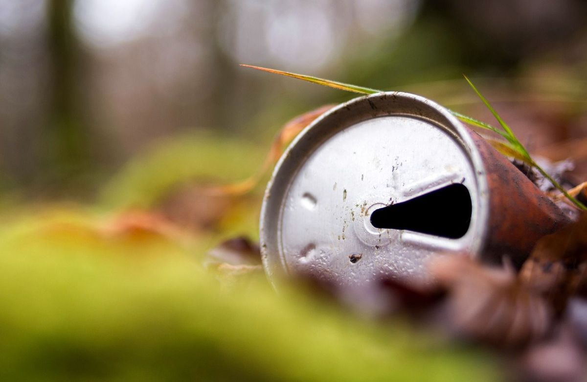 Discarded soda can in the forest