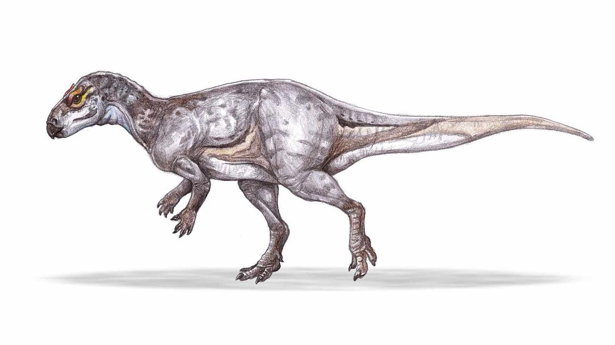Egy új dinoszauruszfajt fedeztek fel az ELTE kutatói Erdélyben