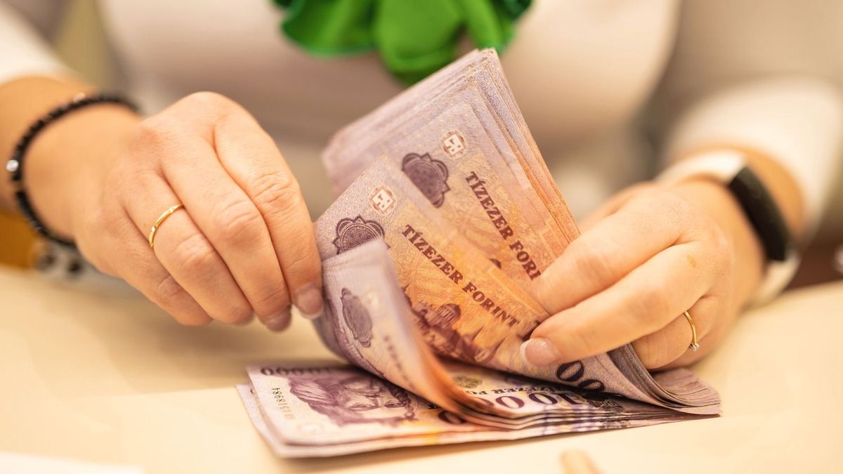 Zsákolja az OTP-részvényeket Csányiék családi alapítványa