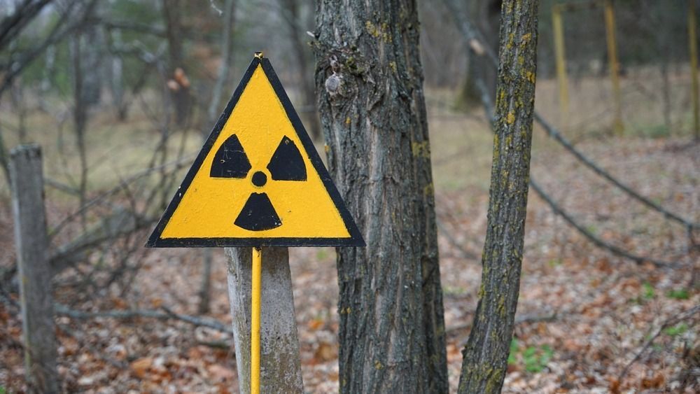 Nuclear,Radioactive,Danger,Sign,In,Forest,In,Chernobyl,Exclusion,Zone