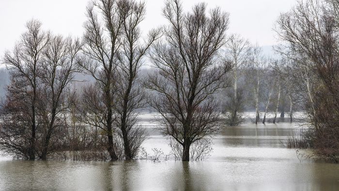 Bodrogkeresztúr, 2024. január 6.
Belvízzel elöntött terület Bodrogkeresztúr határában 2024. január 6-án.
MTI/Balázs Attila
