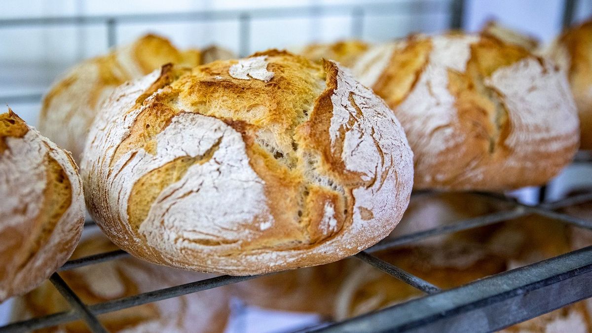 Drágul a kenyér, hiába olcsó a búza