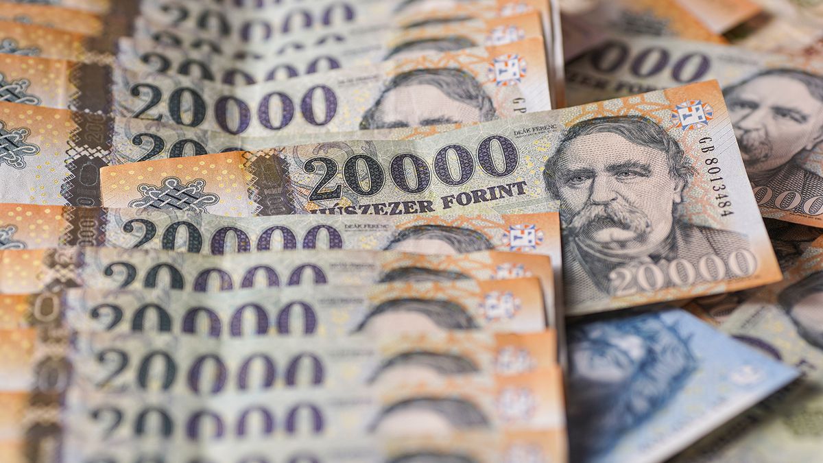 Pangó piacon keresi mankóját a forint