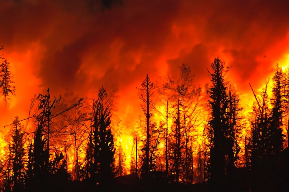 Wildfire.,Wildfire,In,British,Columbia.,Canada.,Forest,Fire.,Forest,Fire, Kirobbanó évük volt tavaly a katasztrófakötvényeknek
