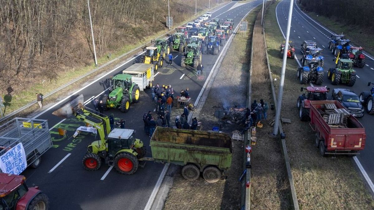 Belgiumban is traktoros tüntetések okoznak közlekedési káoszt