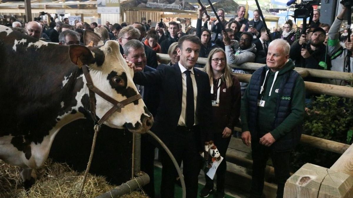 Megkergették Emanuel Macront, szétverték a vásárt, majd lezárták a Párizsba vezető utakat a francia gazdák