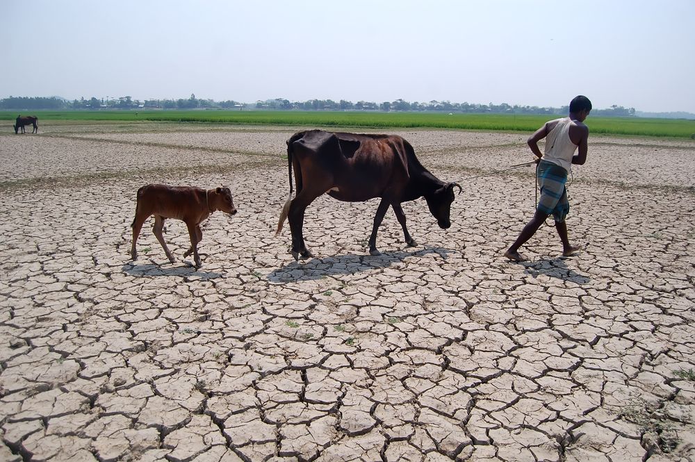 Sylhet,,Bangladesh,-,15,March,2016:,Terrible,Drought,As,A