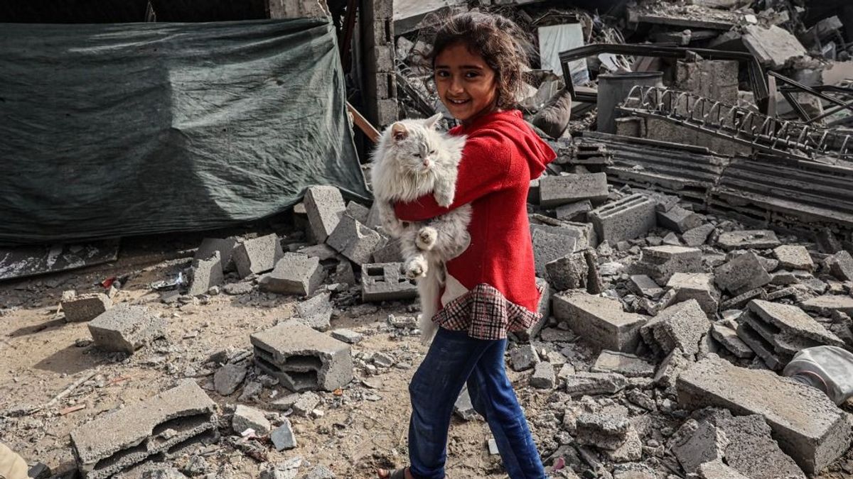 Az olasz külügyminiszter szerint Izrael nem követ el népirtást, de nagyon közel áll hozzá