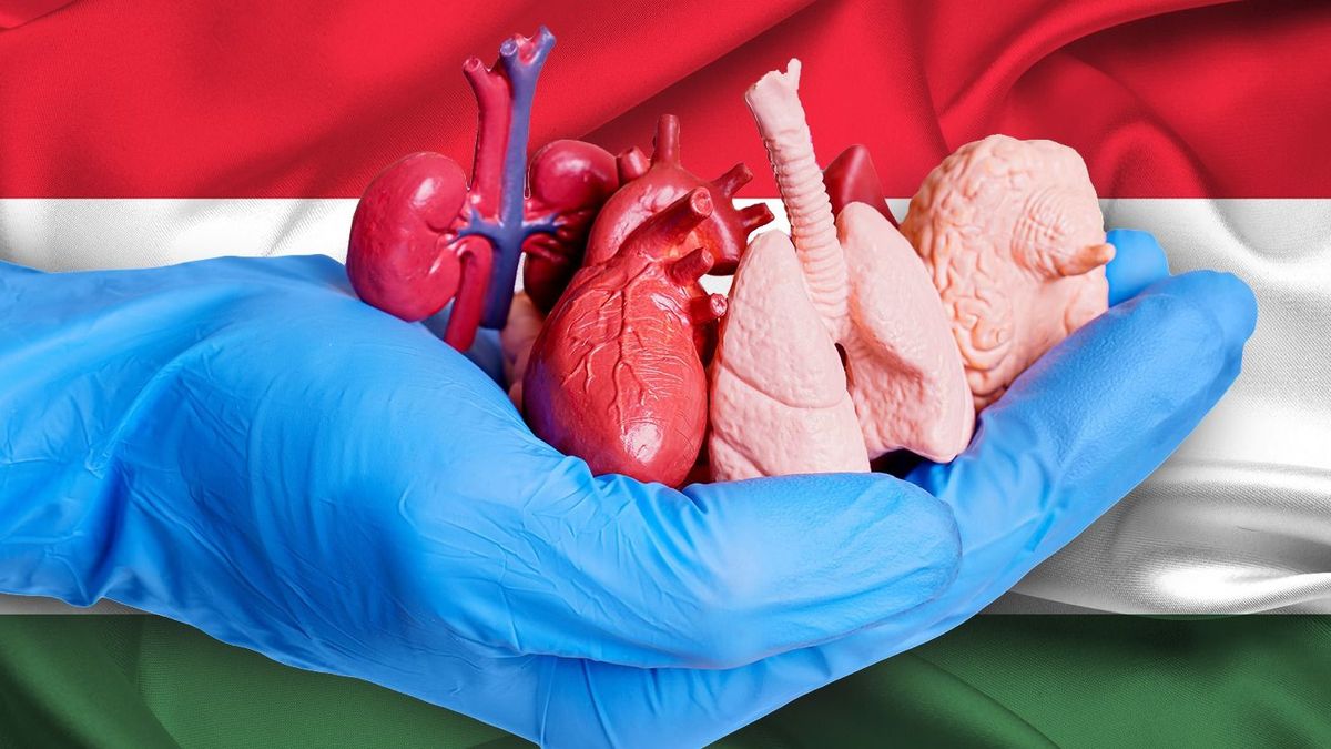 Emelkedett a szervdonációk száma Magyarországon