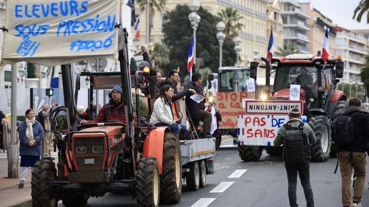 Uniós szintű fellépést szorgalmaznak a magyar agrárszervezetek az ukrán terménydömpinggel szemben