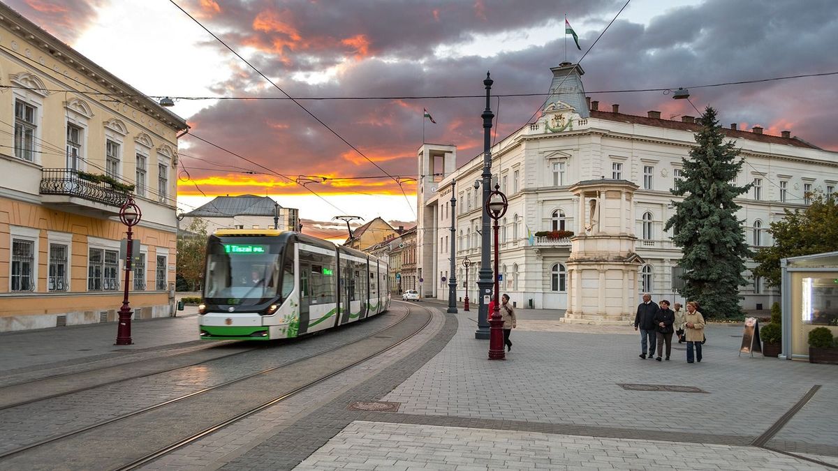 Egyre nagyobb gondot okoznak a miskolci galambok, nem győznek utánuk takarítani