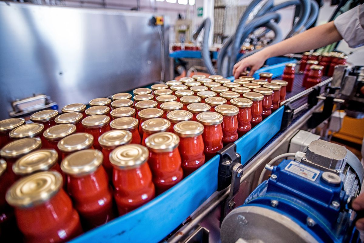 The,Working,Process,Of,Production,Of,Tomatoes,To,Canned,FoodThe working process of production of tomatoes to canned food and vegetable factory. Workers on the production of canned food. Processing tomato. Sicily Italy.