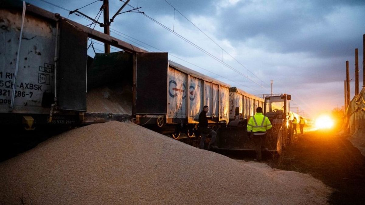 Nem kegyelmeznek a lengyel gazdák: több mint száz tonna ukrán gabonát semmisítettek meg