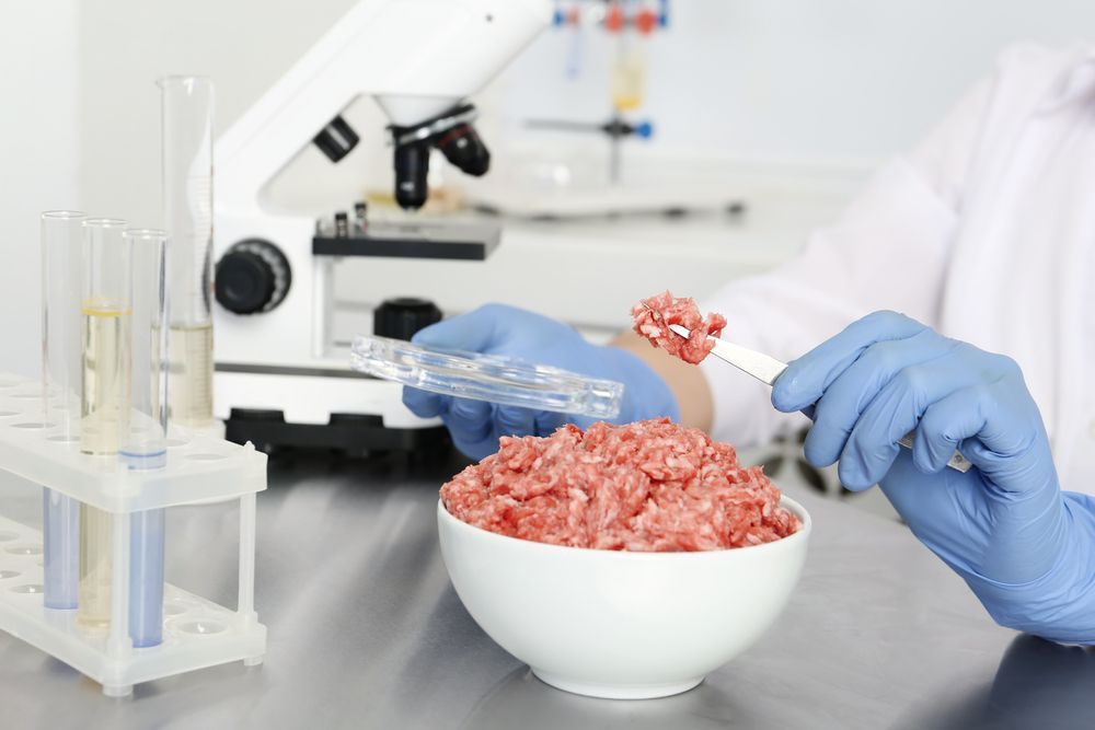 Scientist,Inspecting,Forcemeat,In,Laboratory,,Closeup.,Food,Quality,Control