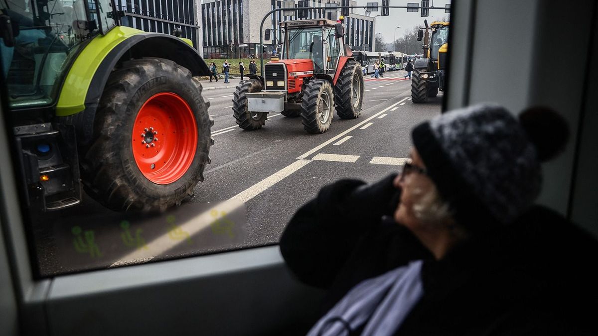 Megbénult Lengyelország a tömegekben tüntető gazdák miatt