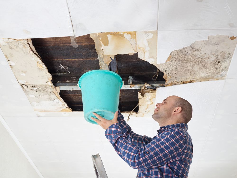 Man,Collecting,Water,In,Bucket,From,Ceiling.,Ceiling,Panels,Damaged