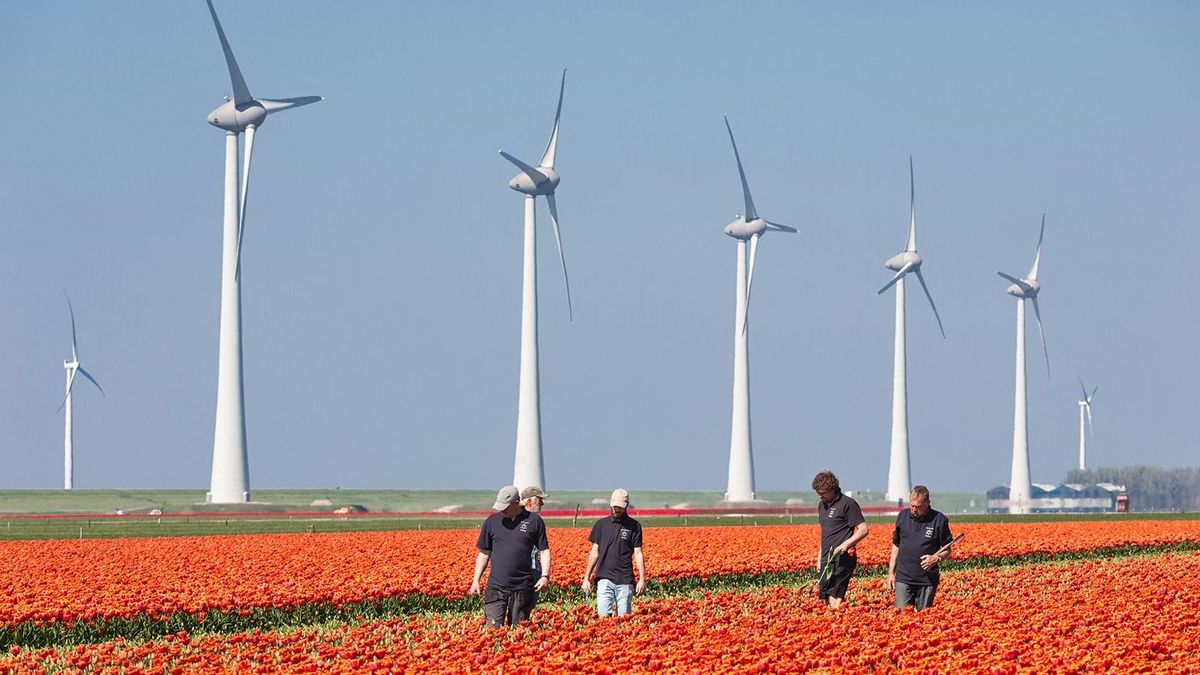 A holland munkaerőhiányra sem a vendégmunkások jelentik a megoldást
