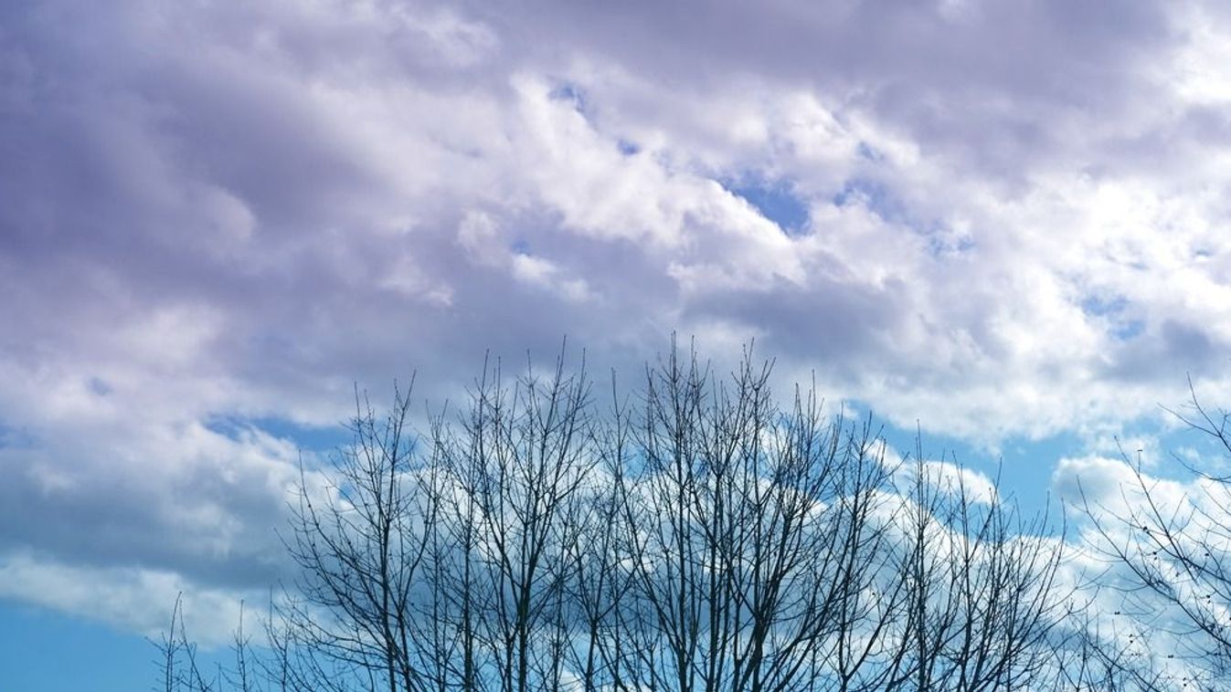 Blue,Spring,Sky,,White,Clouds,Are,Flying,,Birds,,Thin,Branches
időjárás, tavasz