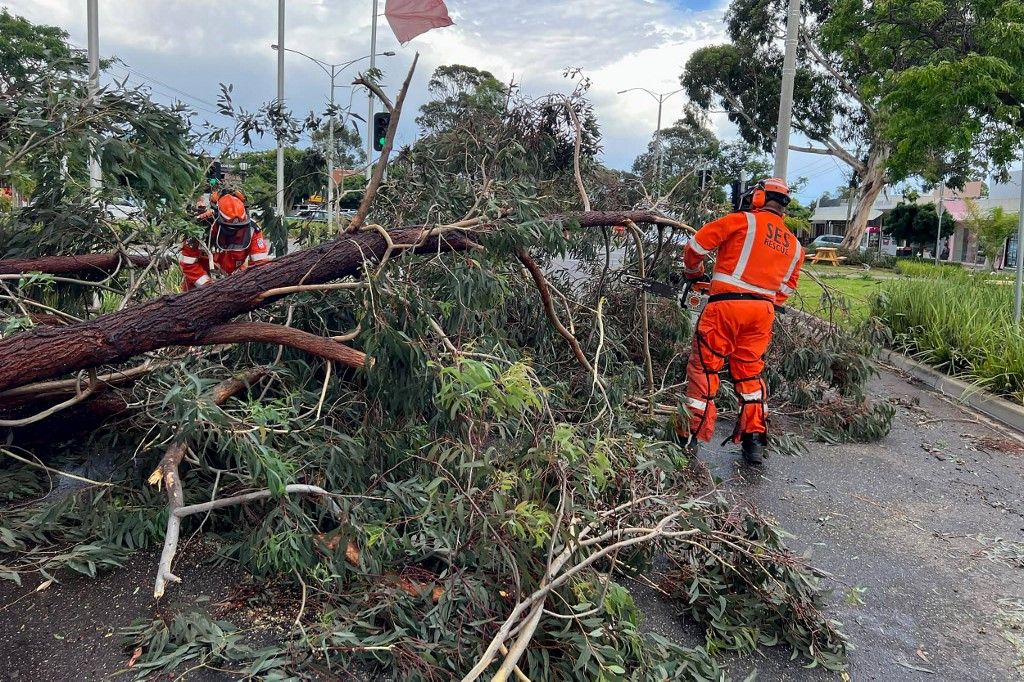 Storms knock out power to half a million in Australia