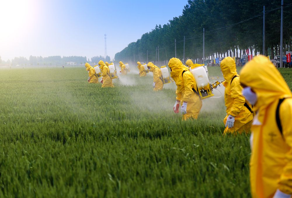 Farmers,Spraying,Pesticide,In,Wheat,Field,Wearing,Protective,Clothing