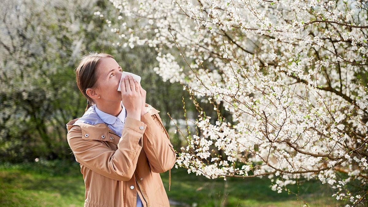 Korán kezdődött a tavasz, hamarabb indult a pollenszezon