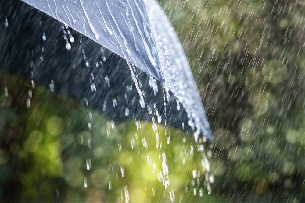 Rain,Drops,Falling,From,A,Black,Umbrella,Concept,For,Bad
eső, esős idő, időjárás