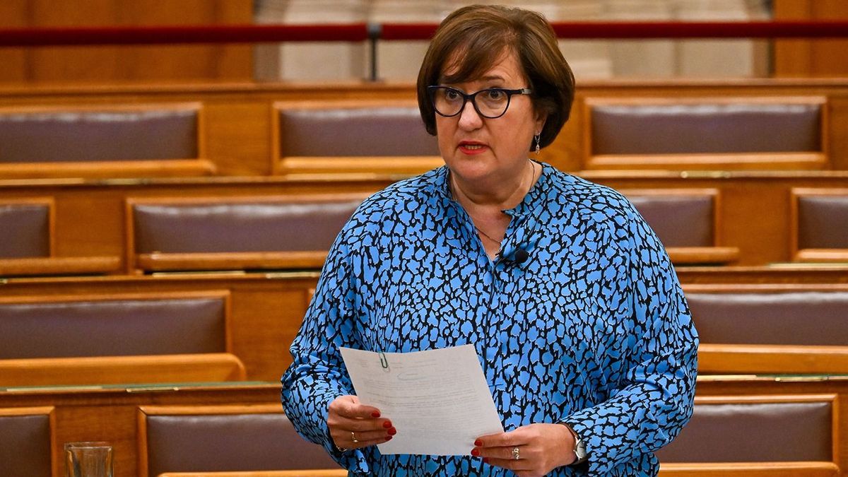 Elvesztette a mentelmi jogát egy baloldali képviselő