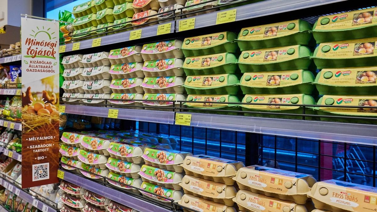 Már csak biotojással találkozhatunk a SPAR egyes üzleteiben