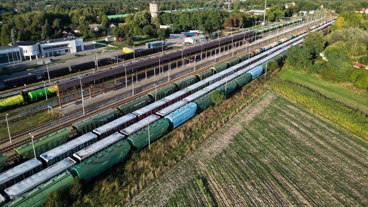 A lengyelek is szigorúbb ellenőrzéseket akarnak az ukrán terményekre