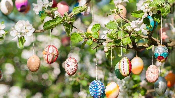 many colorful painted easter eggs on apple tree as easter decoration