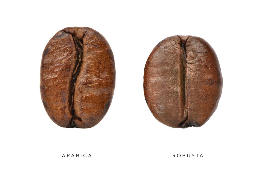 Comparative,Characteristics,Of,Arabica,And,Robusta,Coffee,Beans,Isolated,On