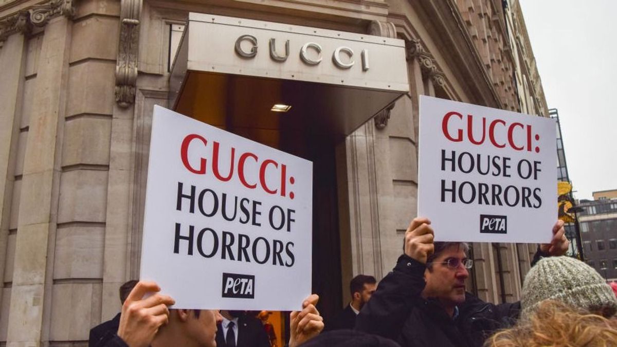 Kalapáccsal verik agyon a pitonokat a Gucci táskákhoz
