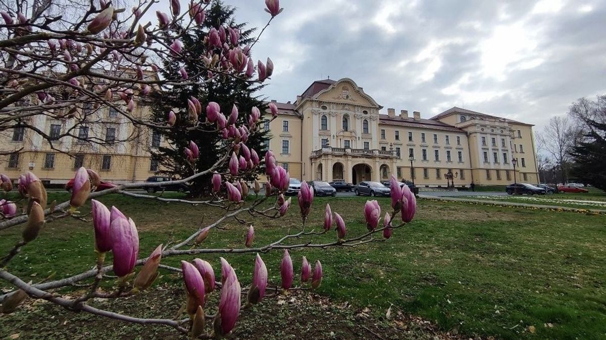 Jelentkezési rekord a MATE gödöllői képzéseire