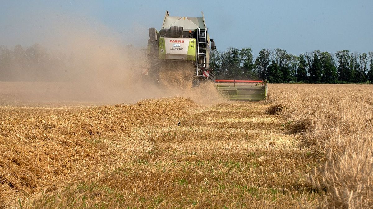 Ukrajna hazavághatja az EU agrárpolitikáját