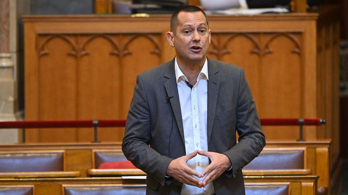 Felfüggesztették Molnár Zsolt mentelmi jogát