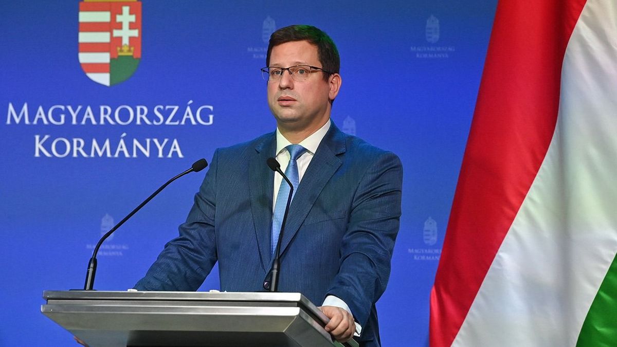 Gulyás Gergely: Minden fájdalmam megszűnt, bottal magabiztosan tudok járni
