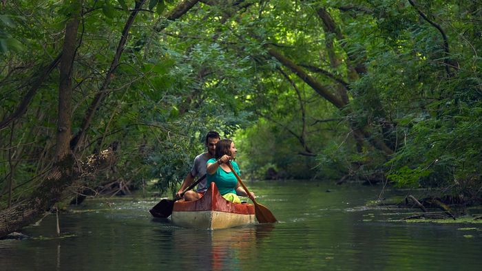 Canoeing,In,The,Water,Passages,Of,Lake,Tisza