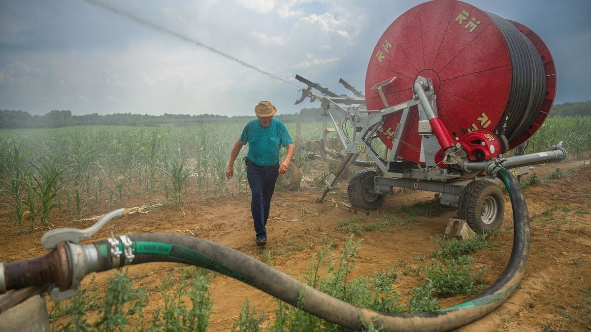 Idén is ingyen használhatják öntözésre az állami létesítmények vizét a gazdák