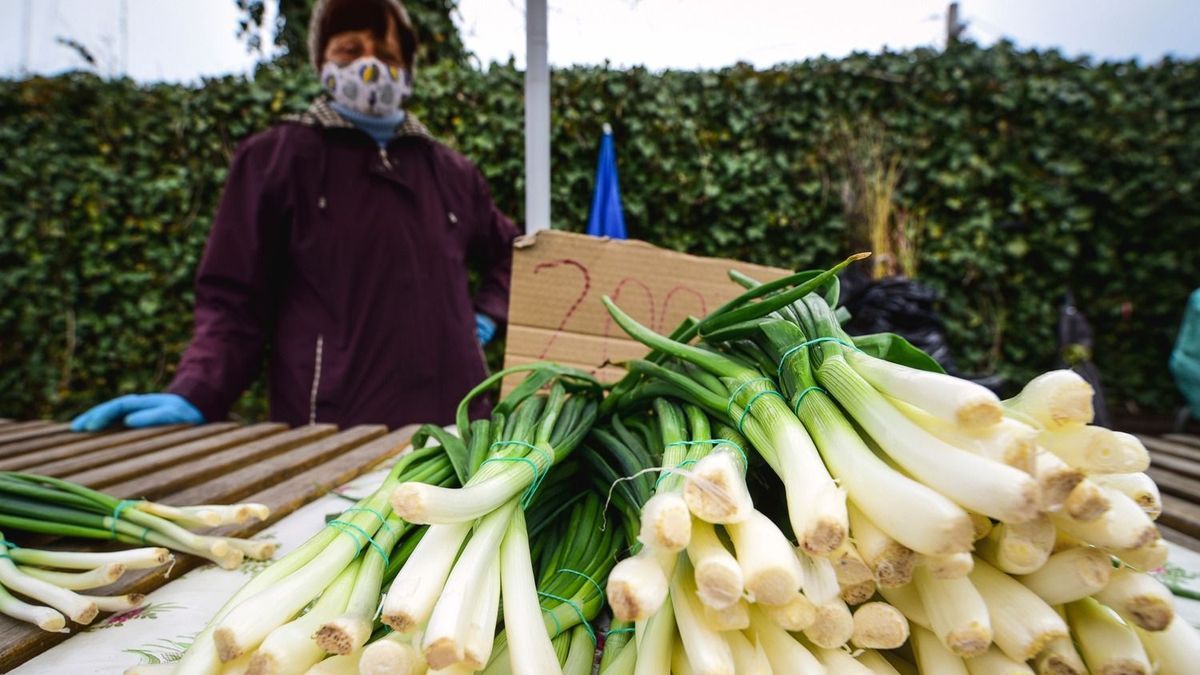 Húsvéti zöldségek kínálata: nincs árhisztéria, de még olcsóbb az import