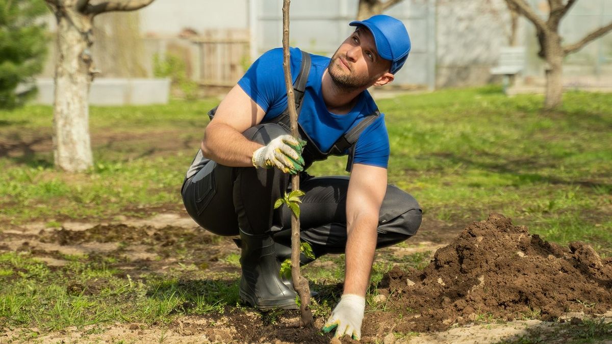 Indulnak a kerti munkák, még nem késő a facsemeték telepítése sem