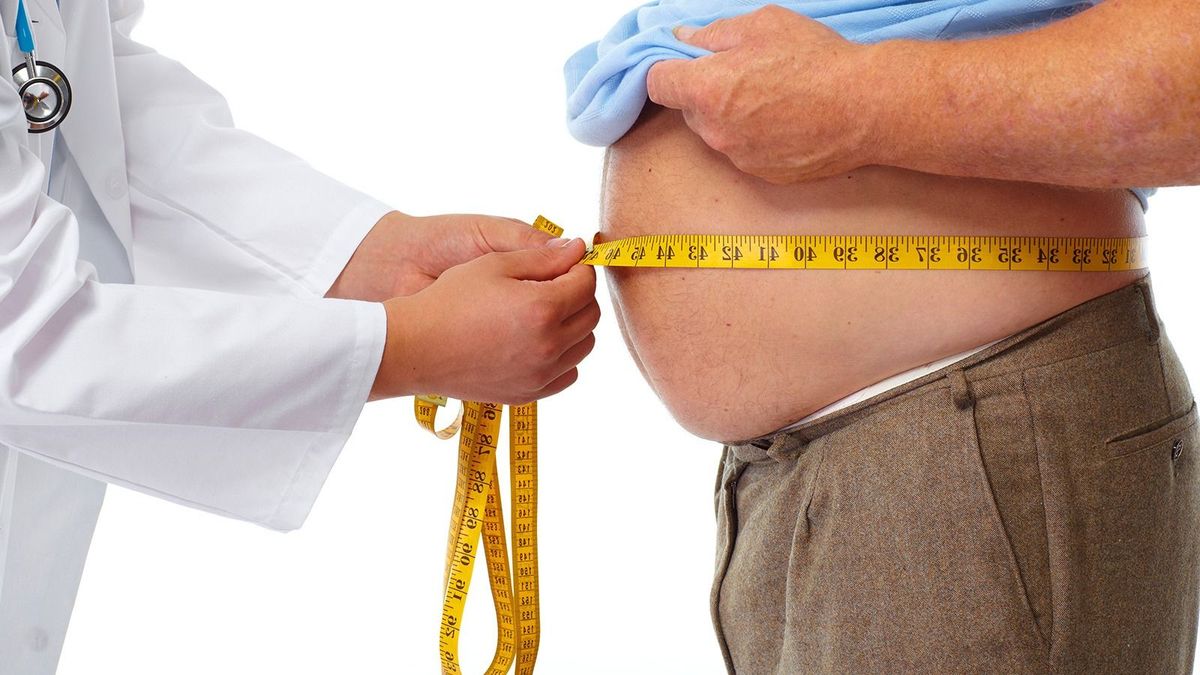 Több mint egymilliárd elhízott ember él a Földön, a WHO kongatja a vészharangot