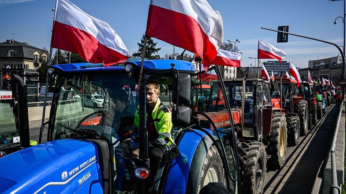 Hátrál Donald Tusk kormánya: Újabb korlátokat emel az ukrán agrártermékek elé Lengyelország