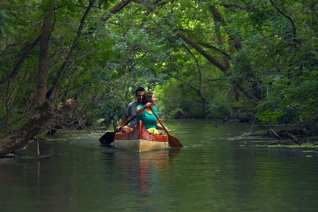 Canoeing,In,The,Water,Passages,Of,Lake,Tisza