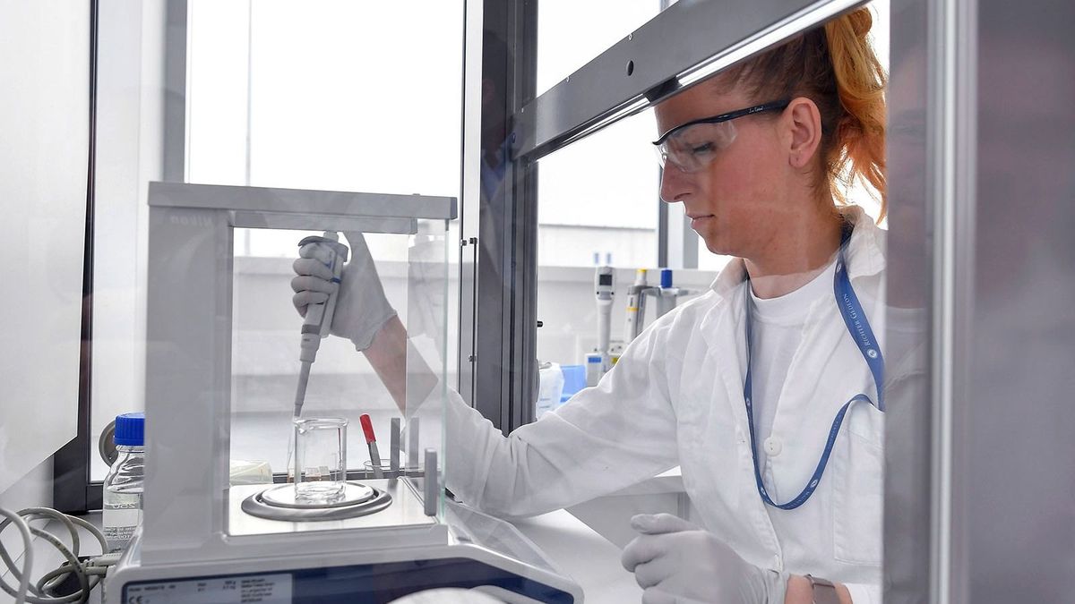 Tovább roboghat a Richter, a rekordárfolyam mellett is ötödével többet érhet a részvény