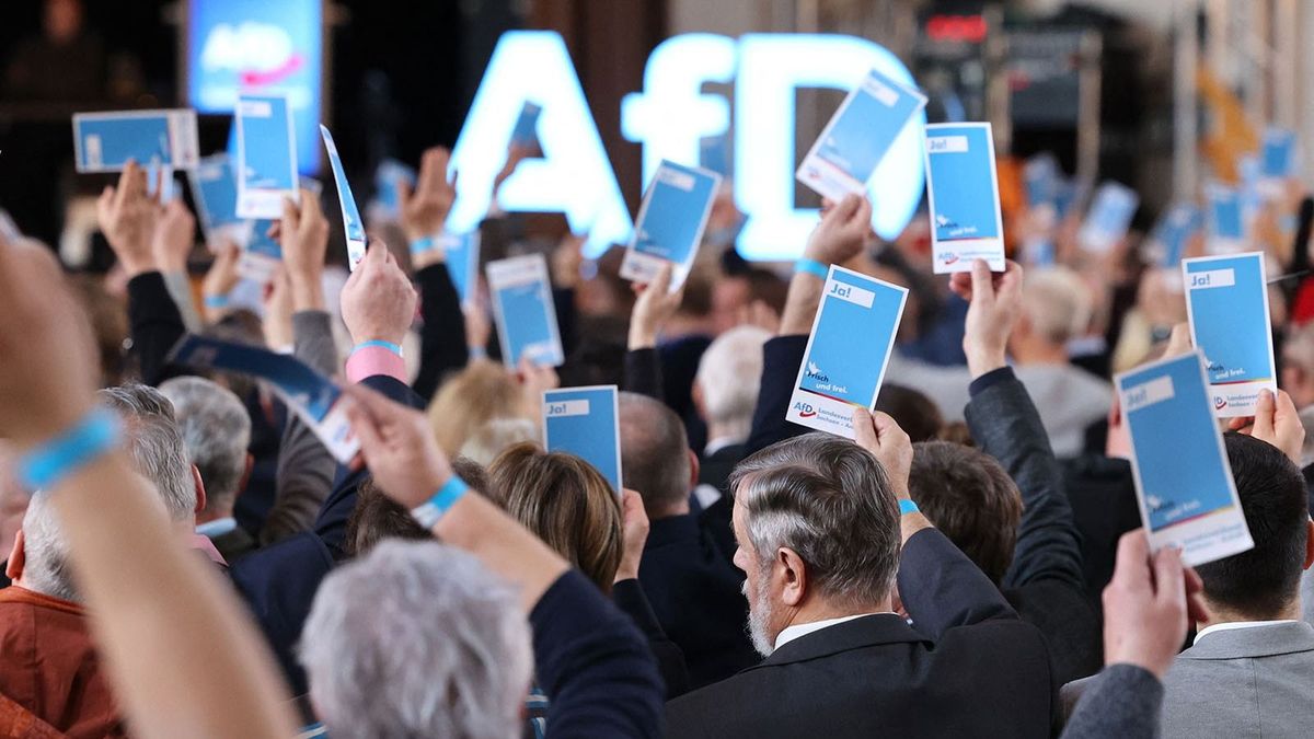 State party conference of the AfD Saxony-Anhalt német szélsőjobb
