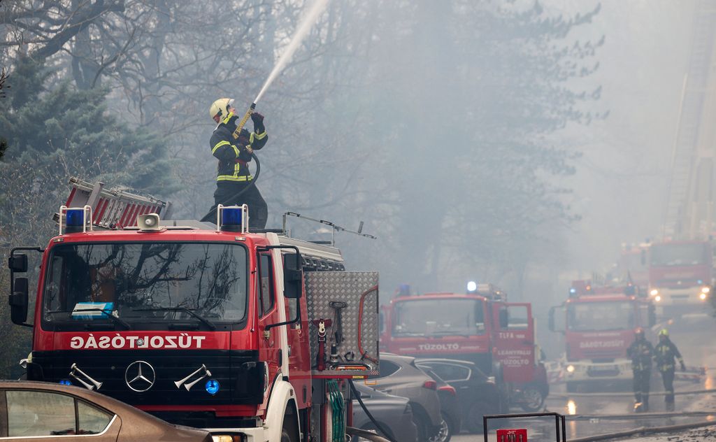 Visegrád, 2024. március 9.
Tűzoltók oltják a kigyulladt visegrádi Hotel Silvanus épületét 2024. március 9-én. A hotel felső szintje teljes terjedelmében kiégett, a vendégek elhagyták az épületet.
MTI/Hegedüs Róbert