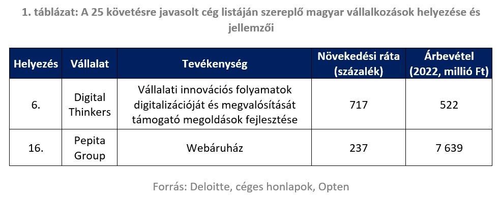 1 tábla A 25 követésre javasolt cég listáján szereplő magyar vállalkozások helyezése és jellemzői
