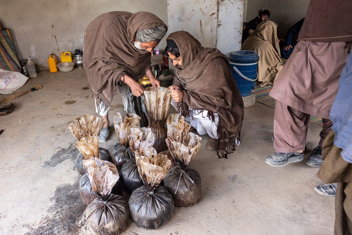 KANDAHAR, AFGHANISTAN - NOVEMBER 17:  Plastic bags of opium sap are examined for quality at a market selling the narcotic in the Panjwai district on November 17, 2021 in Kandahar, Afghanistan. Walls are streaked with opium smudges and banners praising the Taliban's Islamic Emirate of Afghanistan. As drought plagues the country, farmers say that nothing is profitable to grow in the region except opium.  (Photo by Paula Bronstein/Getty Images)
